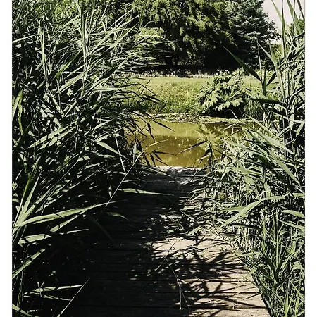 Siolki مزرعة للإقامة Siodlkowice