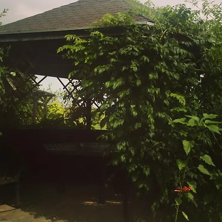 مزرعة للإقامة Siolki *