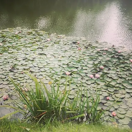 Siolki Feriegård *